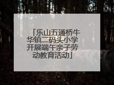 乐山五通桥牛华镇二码头小学开展端午亲子劳动教育活动