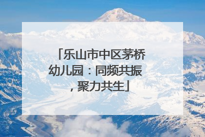 乐山市中区茅桥幼儿园：同频共振，聚力共生