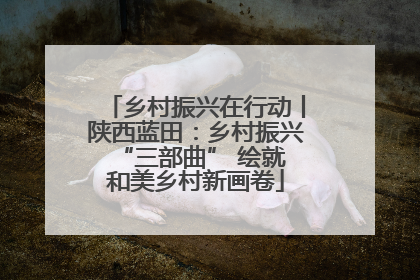 乡村振兴在行动丨陕西蓝田：乡村振兴 “三部曲” 绘就和美乡村新画卷