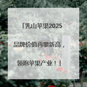 乳山苹果2025品牌价值再攀新高，领跑苹果产业！