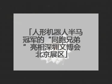 人形机器人半马冠军的“同胞兄弟”亮相深圳文博会北京展区