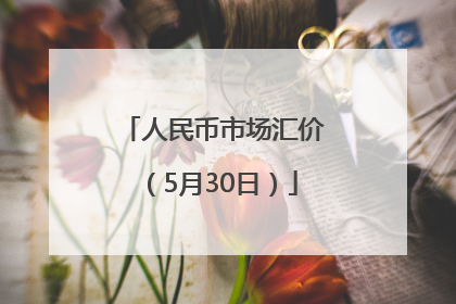 人民币市场汇价（5月30日）