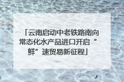 云南启动中老铁路南向常态化水产品进口开启“鲜”速贸易新征程