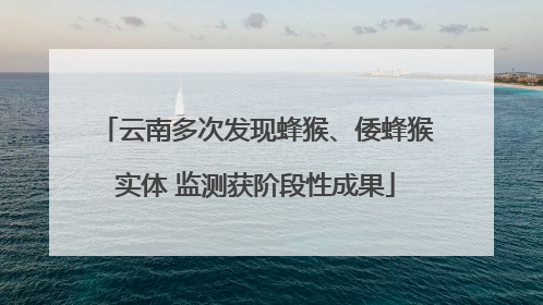 云南多次发现蜂猴、倭蜂猴实体 监测获阶段性成果