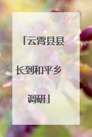 云霄县县长到和平乡调研