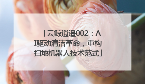 云鲸逍遥002：AI驱动清洁革命，重构扫地机器人技术范式