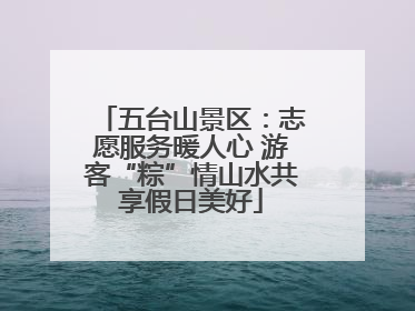 五台山景区：志愿服务暖人心 游客“粽”情山水共享假日美好
