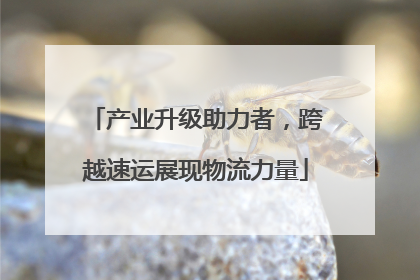 产业升级助力者，跨越速运展现物流力量