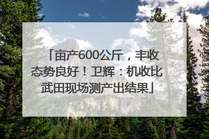 亩产600公斤，丰收态势良好！卫辉：机收比武田现场测产出结果