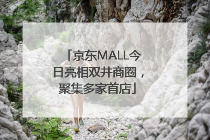 京东MALL今日亮相双井商圈，聚集多家首店