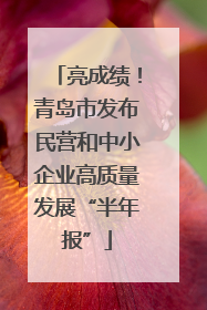 亮成绩！青岛市发布民营和中小企业高质量发展“半年报”