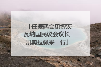 任振鹤会见博茨瓦纳国民议会议长凯奥拉佩采一行