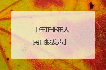 任正非在人民日报发声
