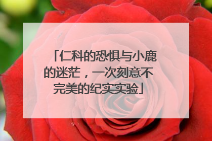 仁科的恐惧与小鹿的迷茫，一次刻意不完美的纪实实验