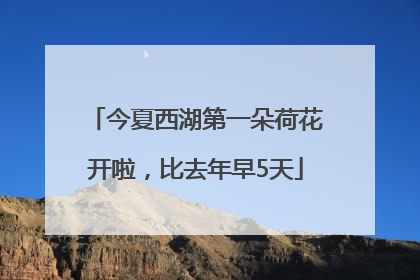 今夏西湖第一朵荷花开啦，比去年早5天