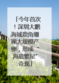 今年首次！深圳大鹏海域鹿角珊瑚大规模产卵，形成“海底繁星”奇观