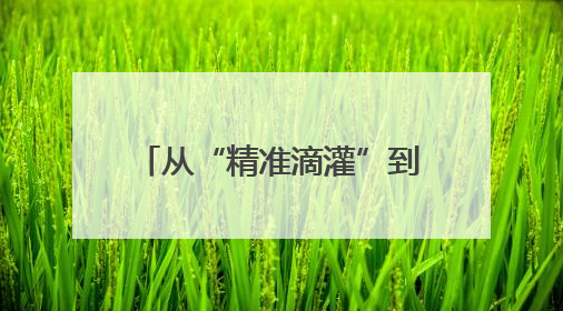 从“精准滴灌”到“全链护航” 四川朝天擦亮营商环境“金字招牌”