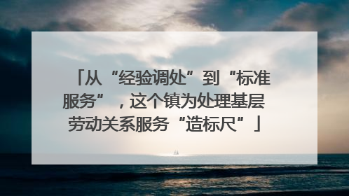 从“经验调处”到“标准服务”，这个镇为处理基层劳动关系服务“造标尺”