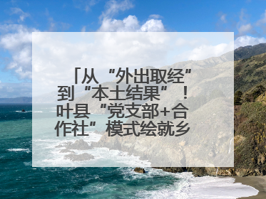 从“外出取经”到“本土结果”！叶县“党支部+合作社”模式绘就乡村振兴新图景