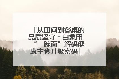 从田间到餐桌的品质坚守：白象用“一碗面”解码健康主食升级密码