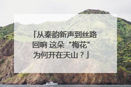 从秦韵新声到丝路回响 这朵“梅花”为何开在天山？