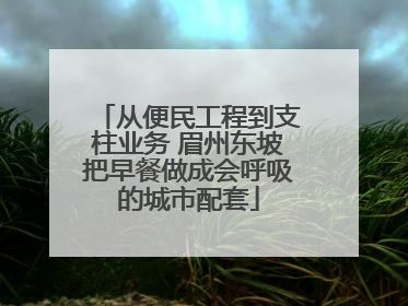 从便民工程到支柱业务 眉州东坡把早餐做成会呼吸的城市配套