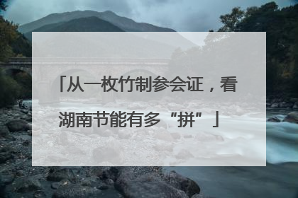 从一枚竹制参会证，看湖南节能有多“拼”
