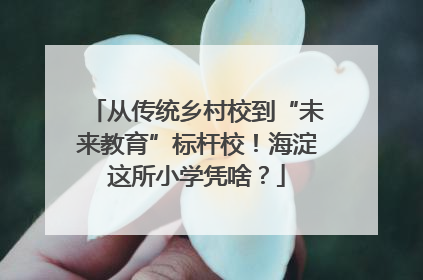 从传统乡村校到“未来教育”标杆校！海淀这所小学凭啥？
