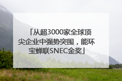 从超3000家全球顶尖企业中强势突围，能环宝蝉联SNEC金奖