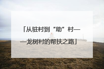 从驻村到“助”村——龙树村的帮扶之路