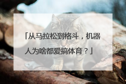 从马拉松到格斗，机器人为啥都爱搞体育？