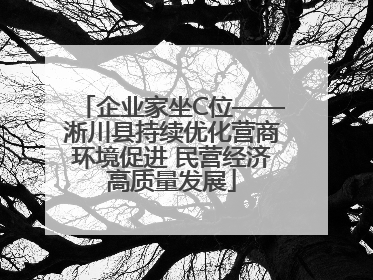 企业家坐C位——淅川县持续优化营商环境促进 民营经济高质量发展