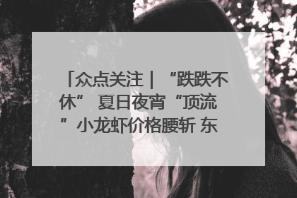 众点关注｜“跌跌不休” 夏日夜宵“顶流”小龙虾价格腰斩 东营人的快乐来了
