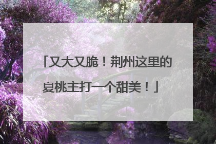 又大又脆！荆州这里的夏桃主打一个甜美！