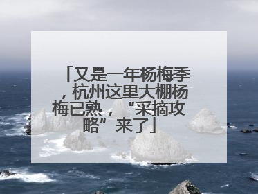 又是一年杨梅季，杭州这里大棚杨梅已熟，“采摘攻略”来了