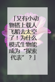又有小动物搭上载人飞船去太空了！为什么模式生物能成为“探索代表”？