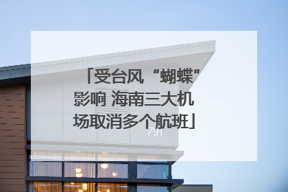 受台风“蝴蝶”影响 海南三大机场取消多个航班