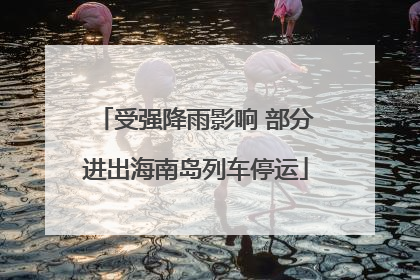 受强降雨影响 部分进出海南岛列车停运
