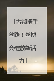 古都携手丝路！丝博会绽放新活力