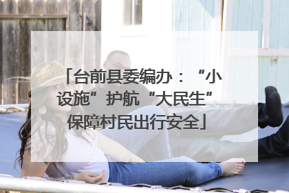 台前县委编办：“小设施”护航“大民生” 保障村民出行安全