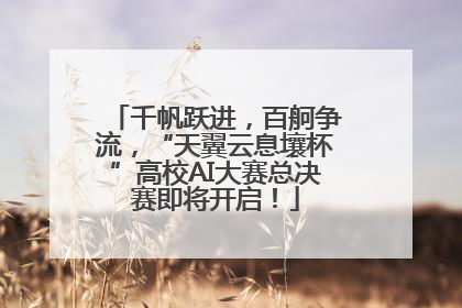 千帆跃进，百舸争流，“天翼云息壤杯”高校AI大赛总决赛即将开启！