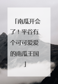 南瓜开会了！平谷有个可可爱爱的南瓜王国