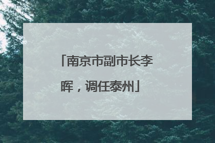 南京市副市长李晖，调任泰州