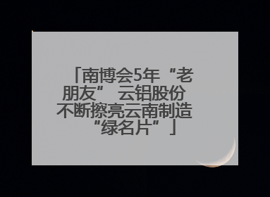 南博会5年“老朋友” 云铝股份不断擦亮云南制造“绿名片”