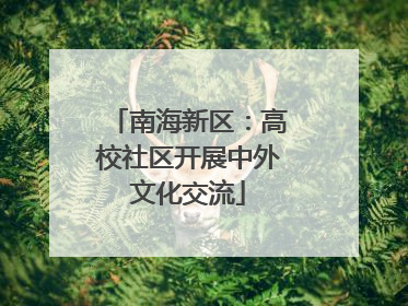 南海新区：高校社区开展中外文化交流