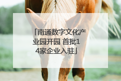 南通数字文化产业园开园 首批14家企业入驻