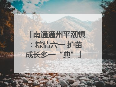 南通通州平潮镇：粽情六一 护苗成长多一“典”