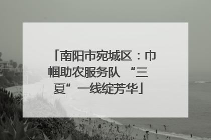 南阳市宛城区：巾帼助农服务队 “三夏”一线绽芳华