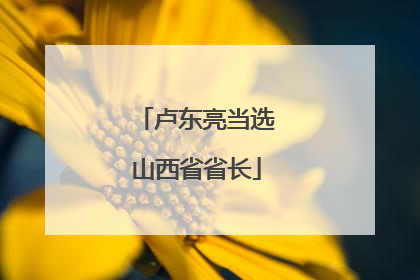 卢东亮当选山西省省长