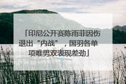 印尼公开赛陈雨菲因伤退出“内战”，国羽各单项唯男双表现差劲